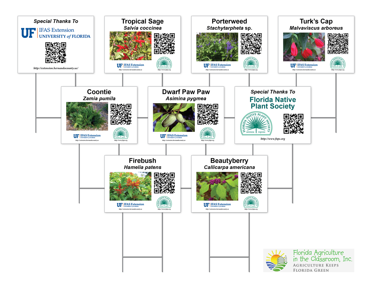 QR Code Signage for UF/IFAS Extension, Florida Agriculture in the Classroom, Florida Native Plant Society Project