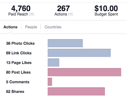 Hernando County Facebook Ad Results