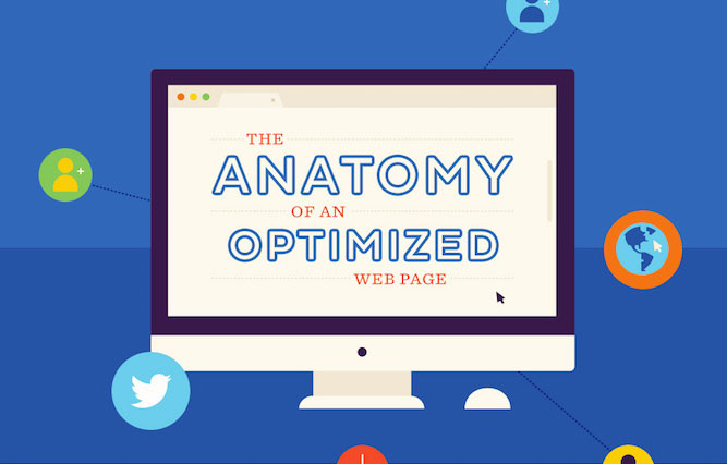 anatomy-optimized-web-page-infographic