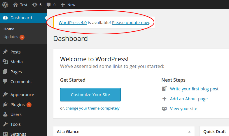 Updating your WordPress website