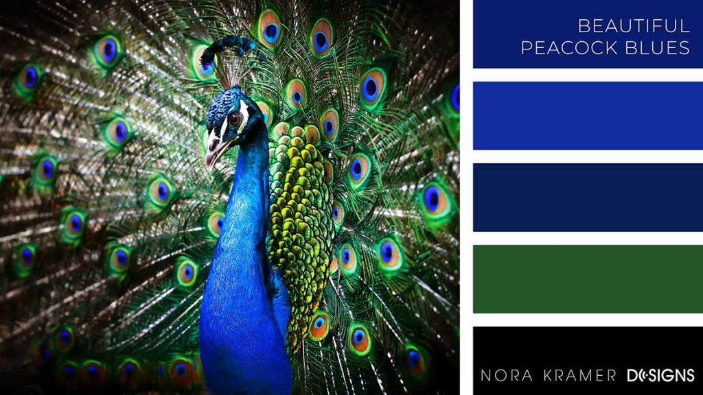 Beautiful Peacock Blues Color Palette